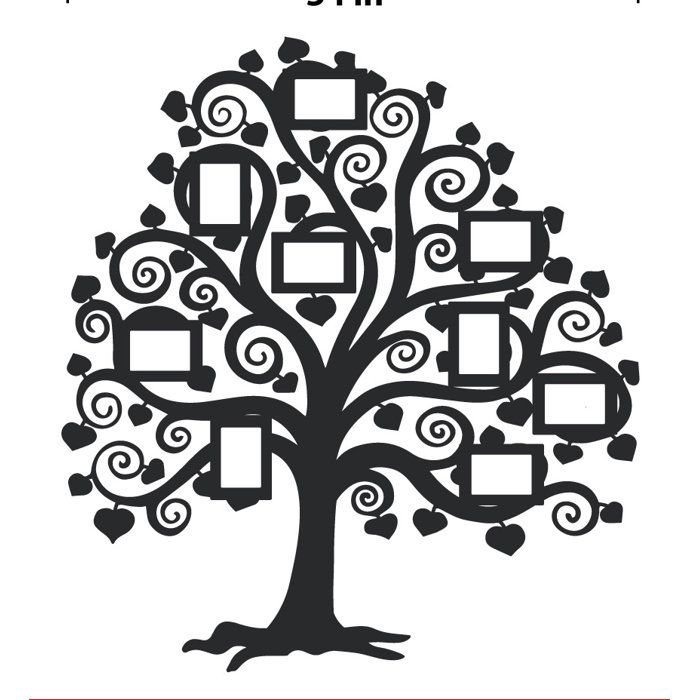 The Decal Guru Family Tree NonWall Damaging Wall Decal & Reviews Wayfair